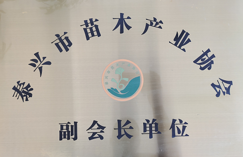 泰元公司被評(píng)為泰興市苗木產(chǎn)業(yè)協(xié)會(huì)副會(huì)長(zhǎng)單位